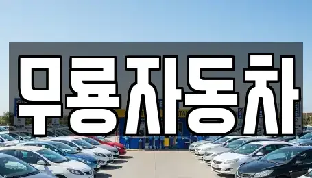 울산 울주군 청량읍 중고차매매 전문 무룡자동차
