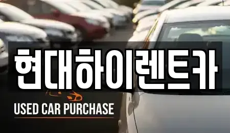 울산 중구 남외동 장기렌트카 전문 현대하이렌트카