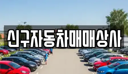 울산 중구 남외동 중고차매매 전문 신구자동차매매상사