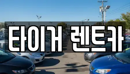 울산광역시 남구 여천동 렌트카 전문 타이거 렌트카