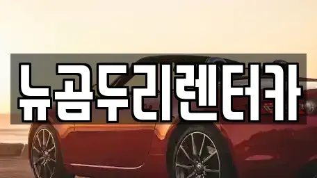 울산광역시 남구 여천동 장기렌트카 전문 뉴곰두리렌터카