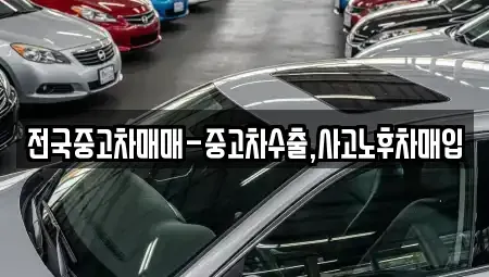 울산광역시 남구 여천동 중고차매입 전문 전국중고차매매-중고차수출,사고노후차매입