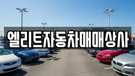 울산광역시 동구 방어동 중고차 전문 엘리트자동차매매상사