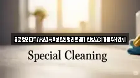 유품정리고독사청소특수청소집정리쓰레기집청소폐기물수거업체