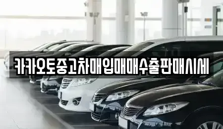 인천 중구 송월동3가 중고차 전문 카카오토중고차매입매매수출판매시세