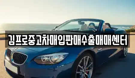 인천 중구 항동4가 중고차매입 전문 김프로중고차매입판매수출매매센터