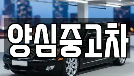 인천광역시 남동구 장수동 중고차매매 전문 양심중고차