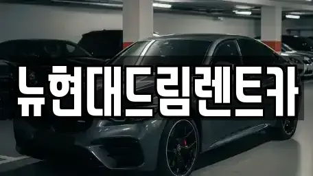 인천광역시 서구 오류동 렌트카 전문 뉴현대드림렌트카