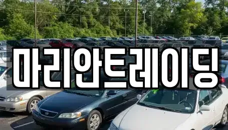 인천광역시 서구 오류동 중고차 전문 마리안트레이딩