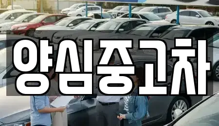 인천광역시 서구 오류동 중고차 전문 양심중고차