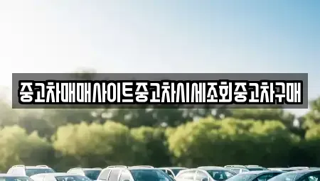 인천광역시 서구 오류동 중고차 전문 중고차매매사이트중고차시세조회중고차구매