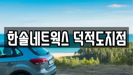 인천광역시 옹진군 덕적면 렌트카 전문 한솔네트웍스 덕적도지점