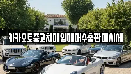 인천광역시 옹진군 덕적면 중고차 전문 카카오토중고차매입매매수출판매시세