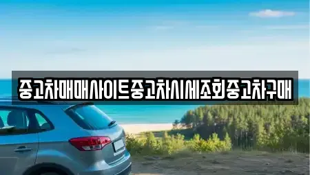 인천광역시 중구 신포동 중고차 전문 중고차매매사이트중고차시세조회중고차구매