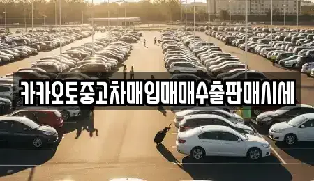 인천광역시 중구 신포동 중고차 전문 카카오토중고차매입매매수출판매시세