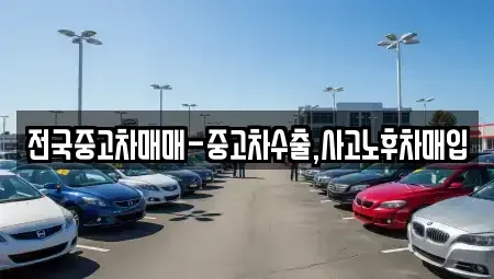 인천광역시 중구 해안동1가 중고차매입 전문 전국중고차매매-중고차수출,사고노후차매입