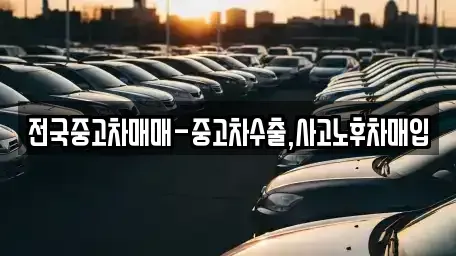 전남 목포시 유달동 중고차매입 전문 전국중고차매매-중고차수출,사고노후차매입