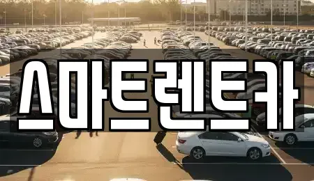 전남 완도군 완도읍 렌트카 전문 스마트렌트카