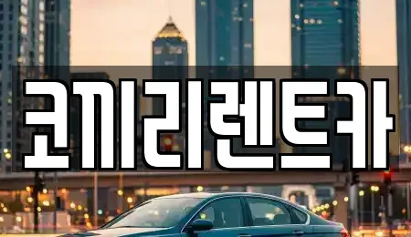 전남 완도군 완도읍 렌트카 전문 코끼리렌트카