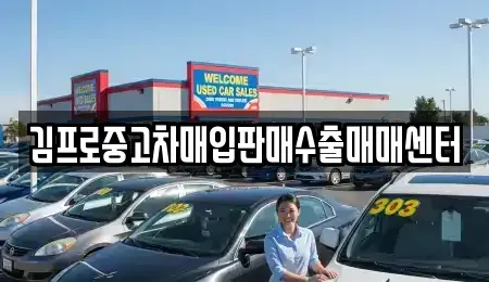 전남 완도군 완도읍 중고차 전문 김프로중고차매입판매수출매매센터