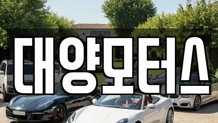 전남 완도군 완도읍 중고차 전문 대양모터스