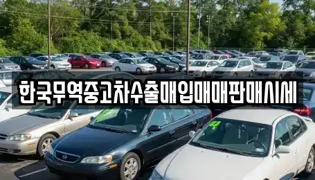 전남 완도군 완도읍 중고차매입 전문 한국무역중고차수출매입매매판매시세