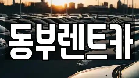 전라남도 완도군 신지면 렌트카 전문 동부렌트카