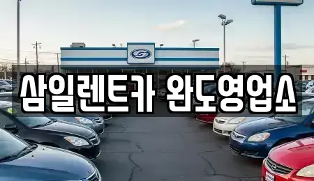 전라남도 완도군 신지면 렌트카 전문 삼일렌트카 완도영업소