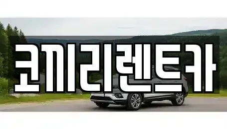 전라남도 완도군 신지면 렌트카 전문 코끼리렌트카