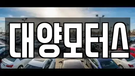 전라남도 완도군 신지면 중고차매매 전문 대양모터스