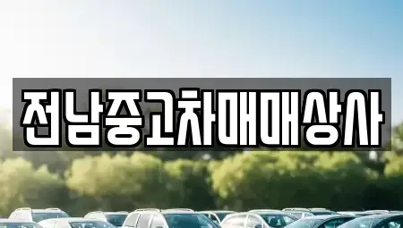 전라남도 완도군 신지면 중고차매매 전문 전남중고차매매상사