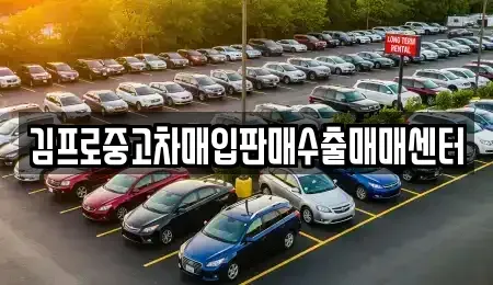 전라남도 완도군 신지면 중고차매입 전문 김프로중고차매입판매수출매매센터