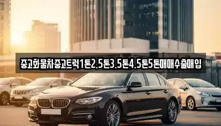 전라남도 완도군 신지면 단기렌트카,중고차매입,중고차매매,중고차,렌트카,장기렌트카