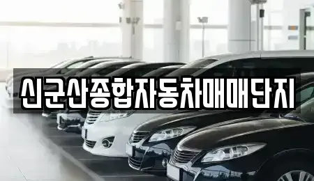 전북 군산시 중고차 전문 신군산종합자동차매매단지