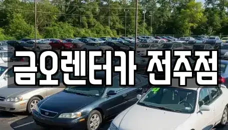 전북 전주시 완산구 상림동 장기렌트카 전문 금오렌터카 전주점