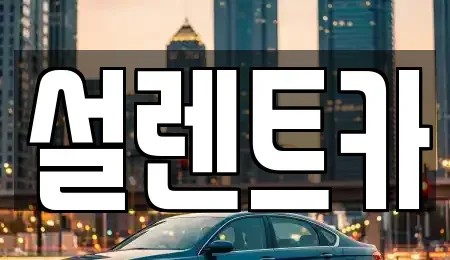 전북 전주시 완산구 서신동 렌트카 전문 설렌트카