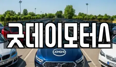 전북 전주시 완산구 서신동 중고차 전문 굿데이모터스