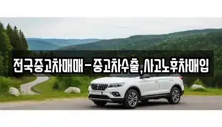 전북 전주시 완산구 서신동 중고차 전문 전국중고차매매-중고차수출,사고노후차매입