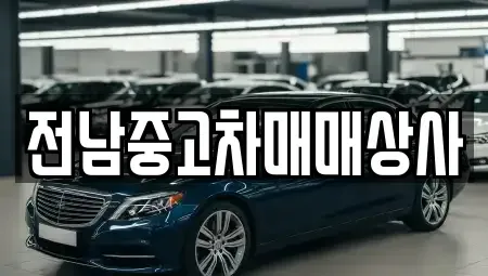 전북특별자치도 김제시 신덕동 중고차매매,단기렌트카,중고차매입,장기렌트카,중고차,렌트카