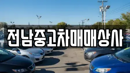 전북특별자치도 전주시 덕진구 도도동 중고차매매 전문 전남중고차매매상사