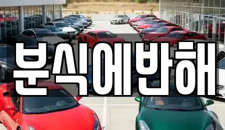 전북특별자치도 전주시 덕진구 도도동 중고차매입 전문 분식에반해