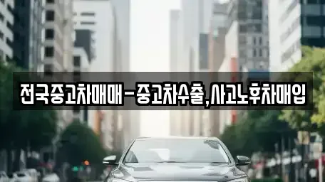 전북특별자치도 전주시 덕진구 도도동 단기렌트카,중고차매입,중고차매매,중고차,렌트카,장기렌트카