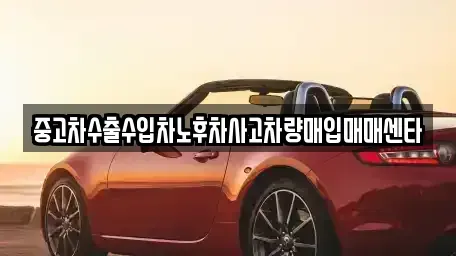 제주특별자치도 제주시 도두이동 중고차매입 전문 중고차수출수입차노후차사고차량매입매매센타