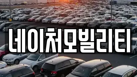 제주특별자치도 제주시 봉개동 렌트카 전문 네이처모빌리티