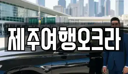 제주특별자치도 제주시 봉개동 렌트카 전문 제주여행오크라