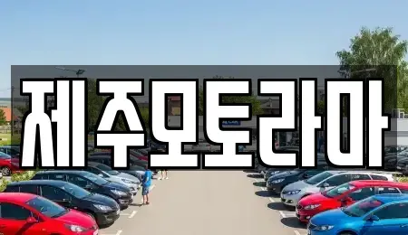 제주특별자치도 제주시 봉개동 중고차 전문 제주모토라마