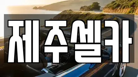 제주특별자치도 제주시 봉개동 중고차 전문 제주셀카