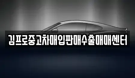 충북 제천시 명동 중고차 전문 김프로중고차매입판매수출매매센터