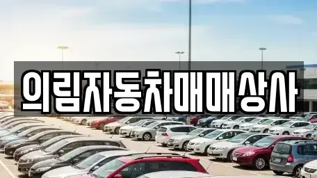 충북 제천시 명동 중고차 전문 의림자동차매매상사
