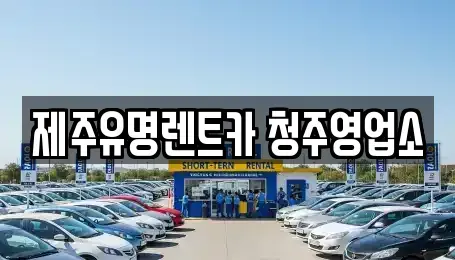 충북 청주시 흥덕구 화계동 렌트카 전문 제주유명렌트카 청주영업소